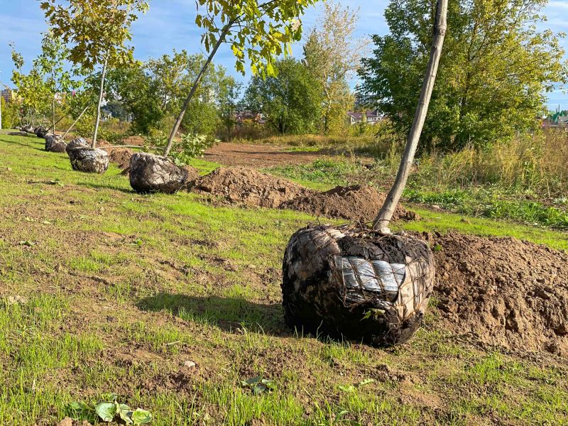 Layered Soil Profile